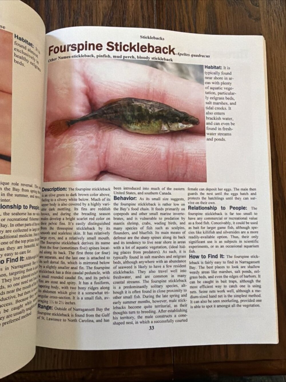 GUIDE TO FISH OF NARRAGANSETT BAY By Daniel M Cryan & Daniel M Cryan Warwick, RI - Picture 5 of 5